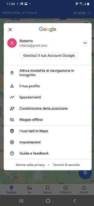 schermata Google Maps